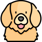 Dog Grooming Supplies