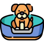 Dog Beds & Blankets